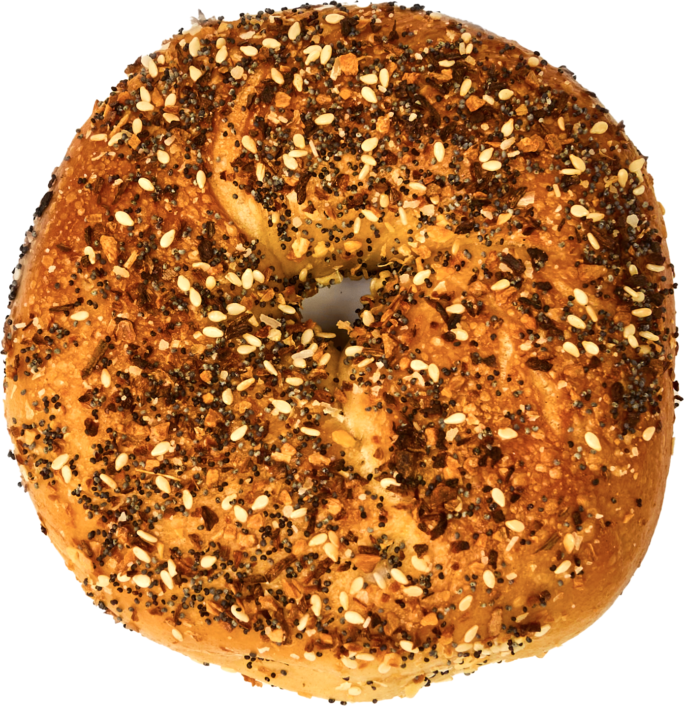 Sesame seed bagel